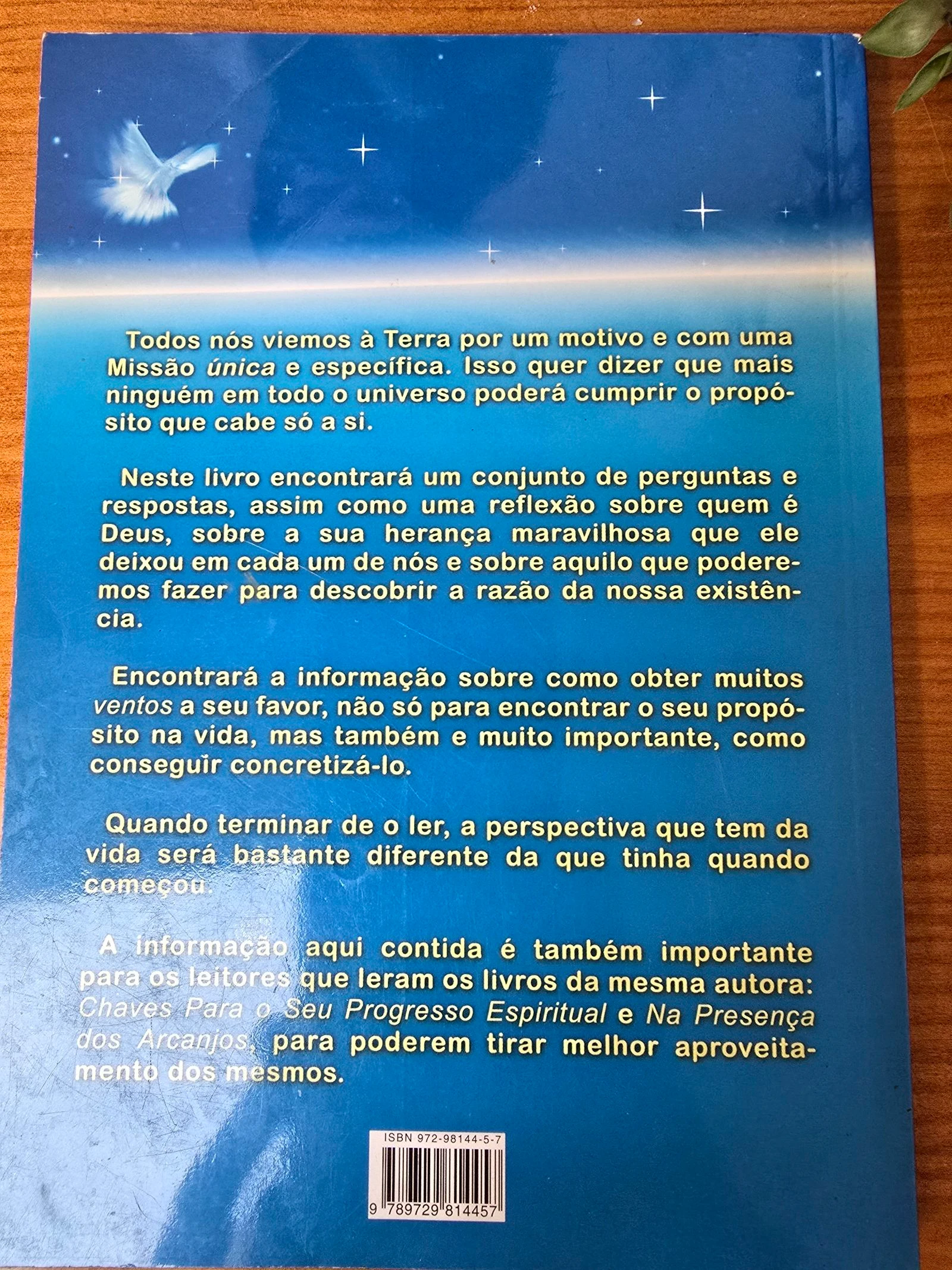 Voce veio a terra com uma missao – photo 2